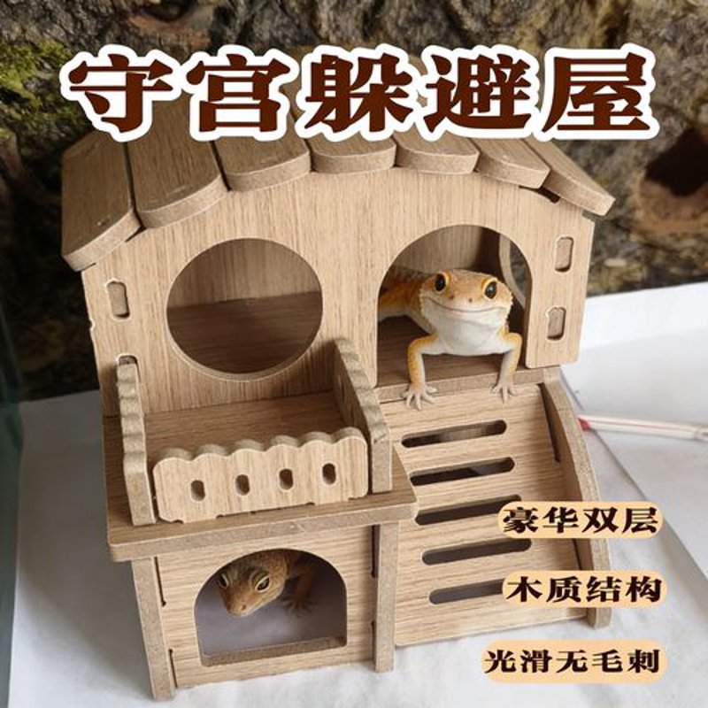 如何安全地照顾宠物蛇？