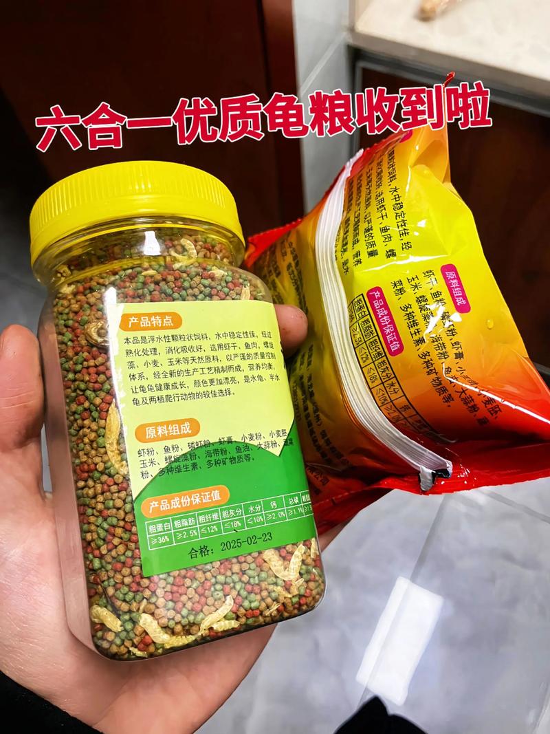 宠物饲养新选择：智能爬虫饲养箱引领行业变革