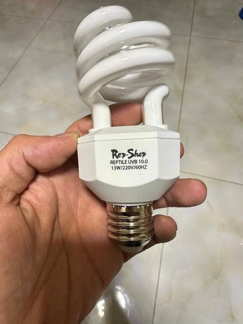 爬宠保健品