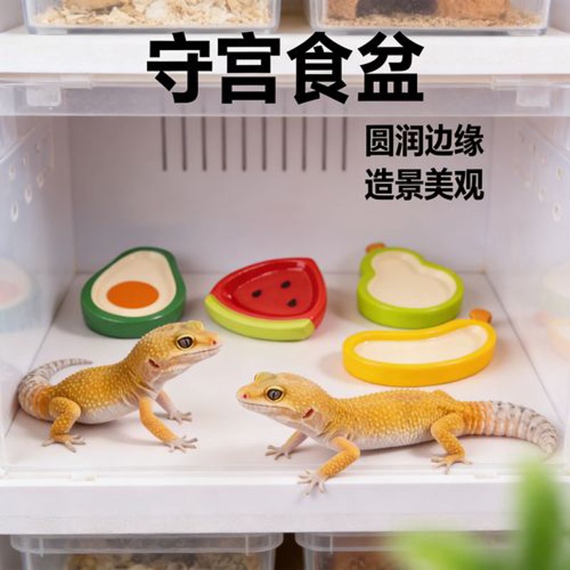 龟粮行业动态：健康饮食新趋势
